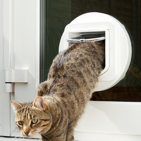 Cat Flap Fitting Into Double Glazing Manchester Glazing