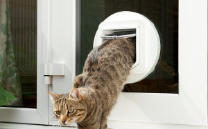 Cat flap fitting company Manchester